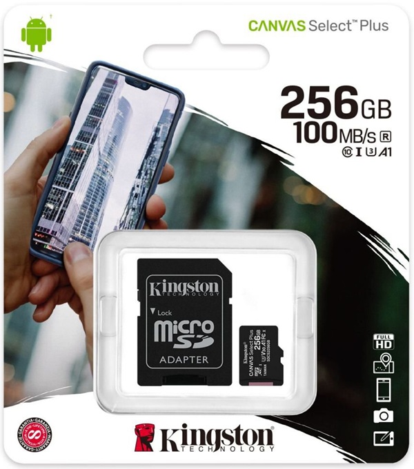 Kingston 256GB 100MB/s MicroSD